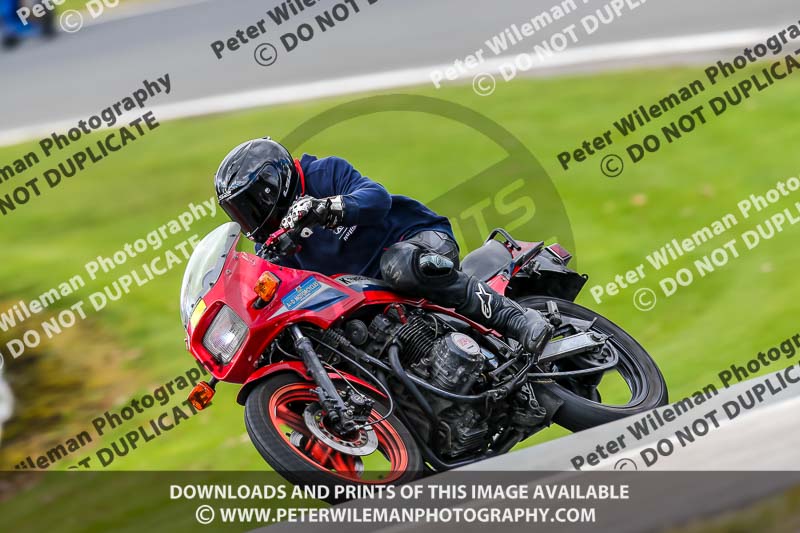 Oulton Park 20th March 2020;PJ Motorsport Photography 2020;anglesey;brands hatch;cadwell park;croft;donington park;enduro digital images;event digital images;eventdigitalimages;mallory;no limits;oulton park;peter wileman photography;racing digital images;silverstone;snetterton;trackday digital images;trackday photos;vmcc banbury run;welsh 2 day enduro